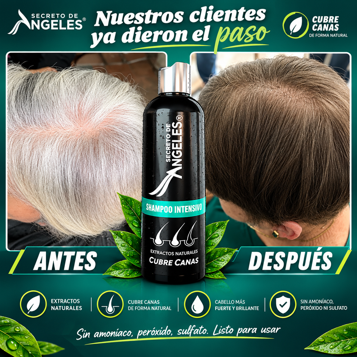 SHAMPOO CUBRE CANAS/ MAGIC SHAMPOOšæ