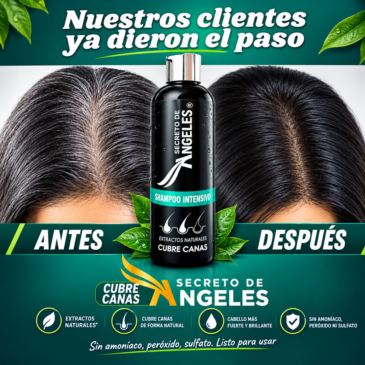 SHAMPOO CUBRE CANAS/ MAGIC SHAMPOO🌿