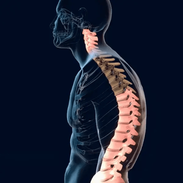 PosturaVital / Corrector de postura🔥