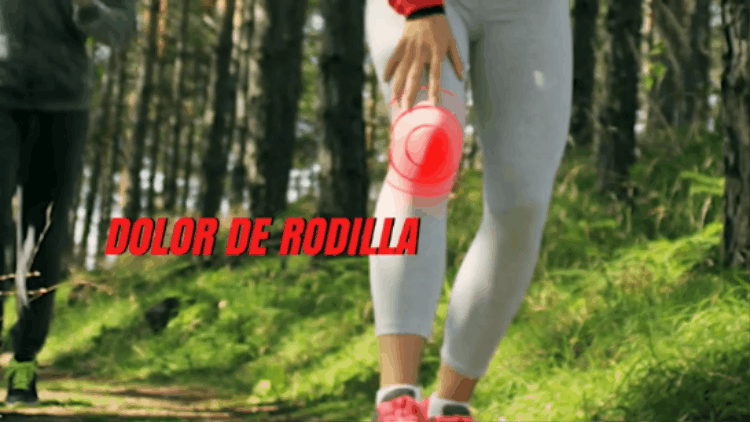 🔥Knee Pad / Rodillera con Nanotecnología🧬🧑🏽‍💻